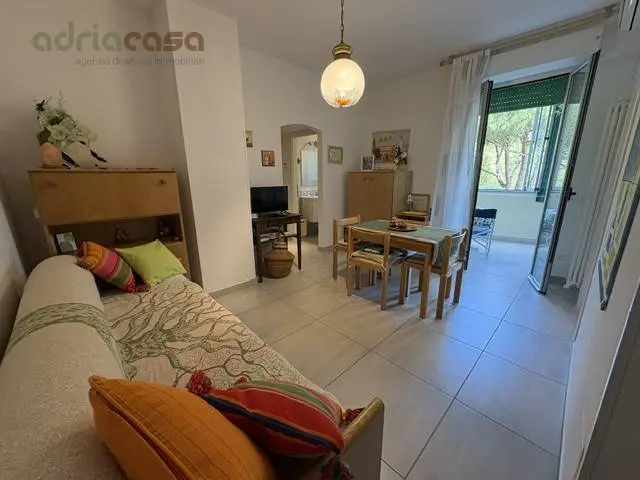 Immagine per Appartamento in vendita a Riccione Corso Fratelli Cervi 