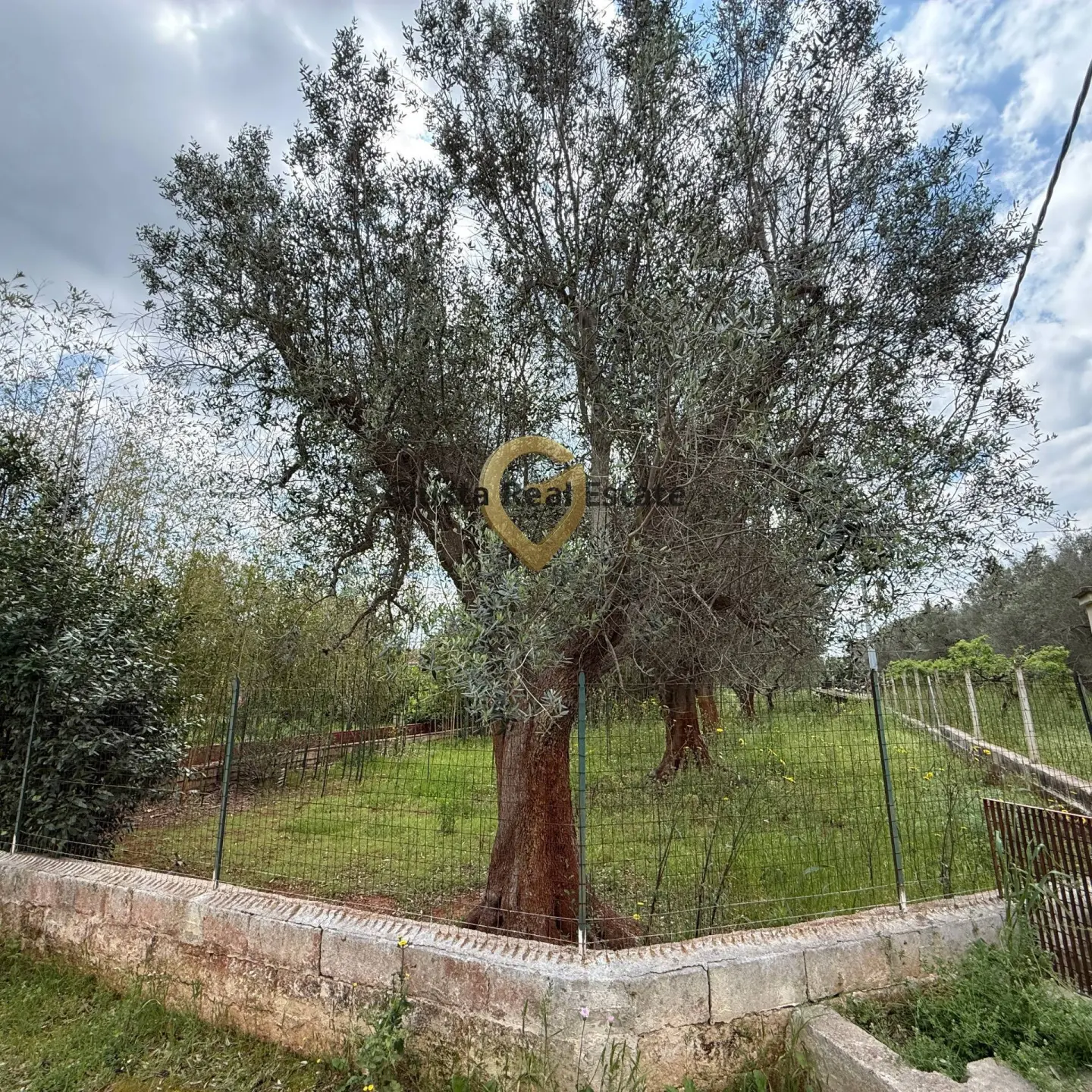 Immagine per Villa in vendita a Latiano Contrada Specchia 