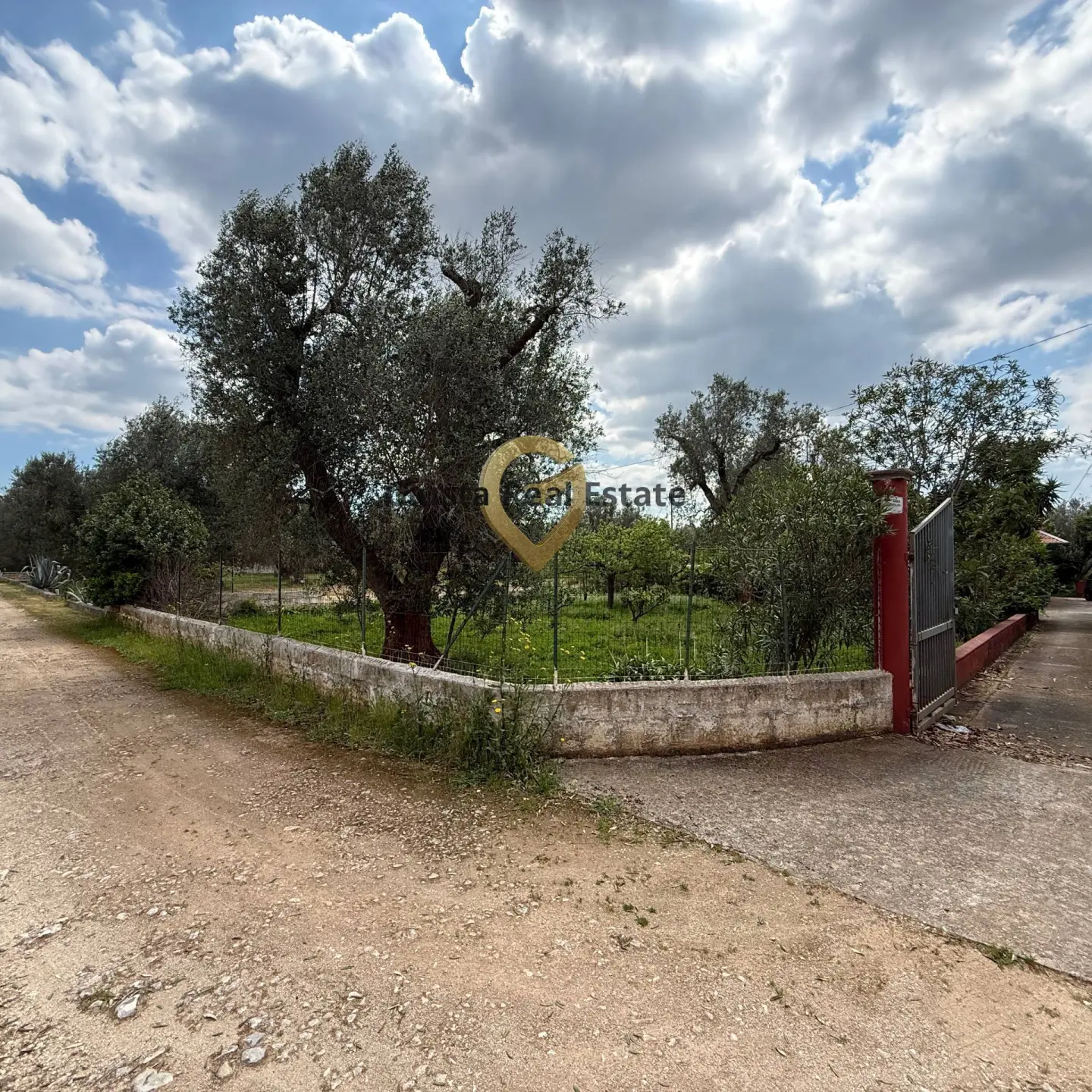 Immagine per Villa in vendita a Latiano Contrada Specchia 