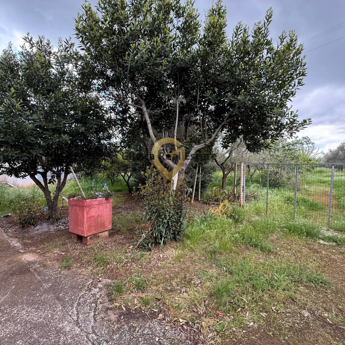 Immagine per Villa in vendita a Latiano Contrada Specchia 