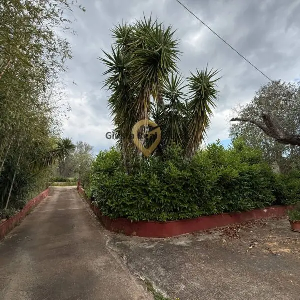 Immagine per Villa in vendita a Latiano Contrada Specchia 