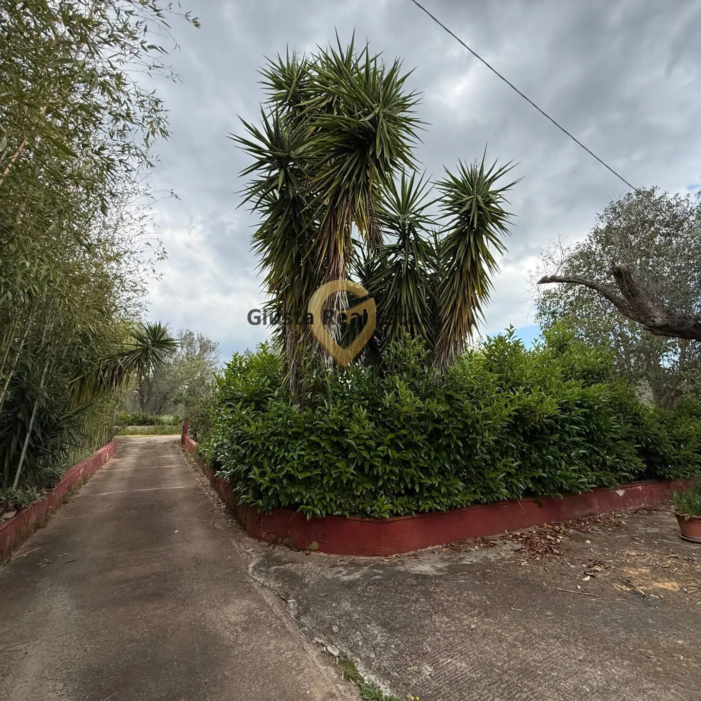 Immagine per Villa in vendita a Latiano Contrada Specchia 