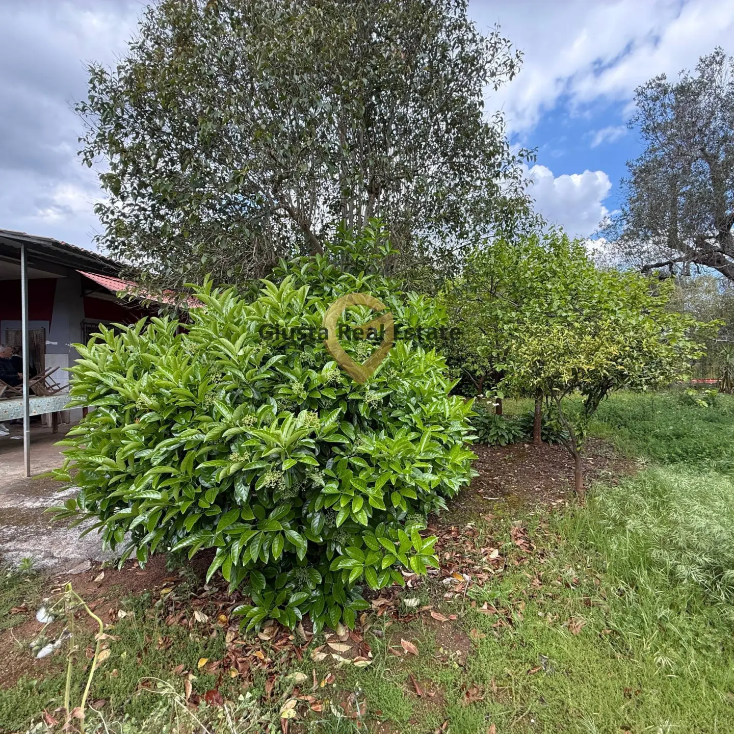 Immagine per Villa in vendita a Latiano Contrada Specchia 