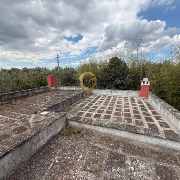 Immagine per Villa in vendita a Latiano Contrada Specchia 