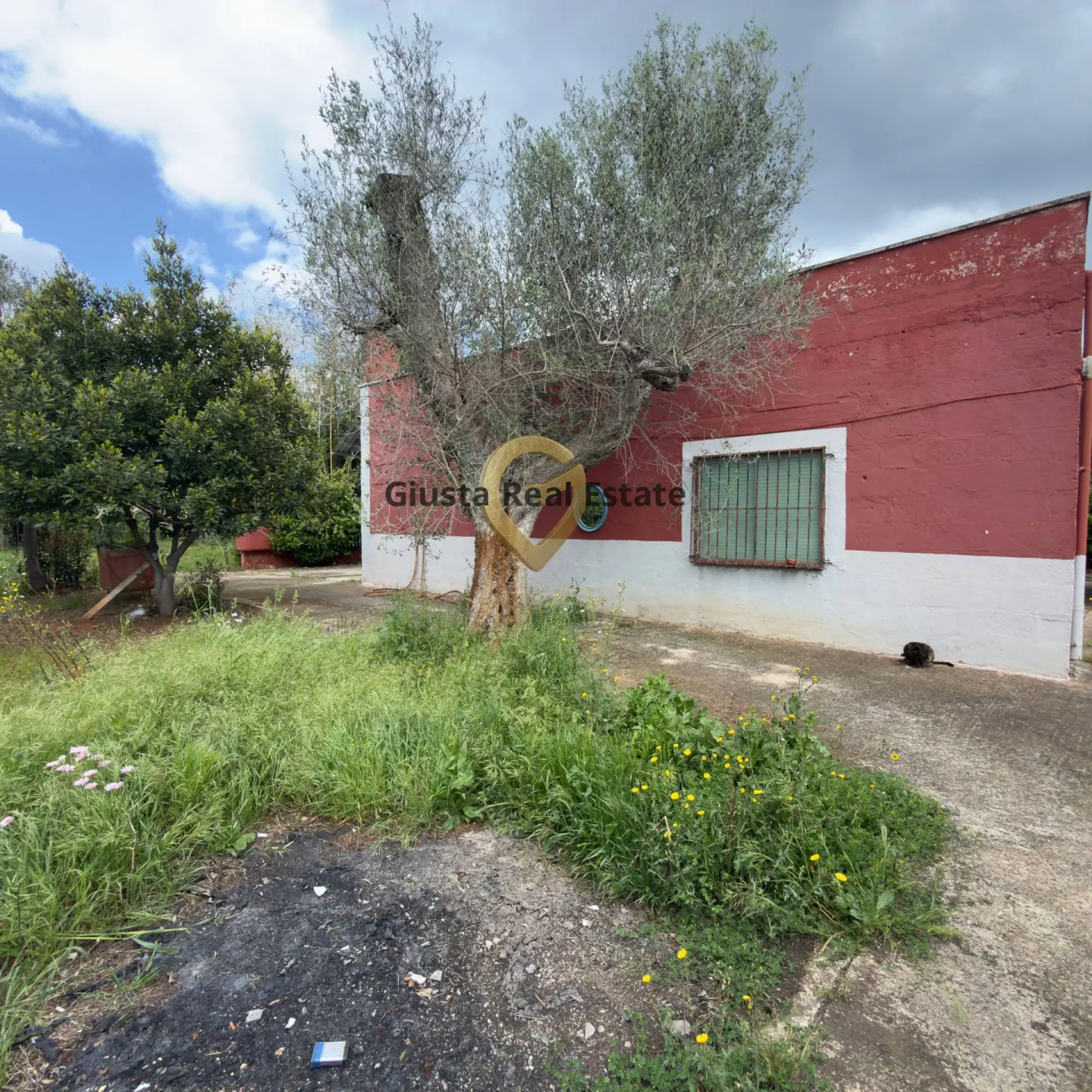 Immagine per Villa in vendita a Latiano Contrada Specchia 