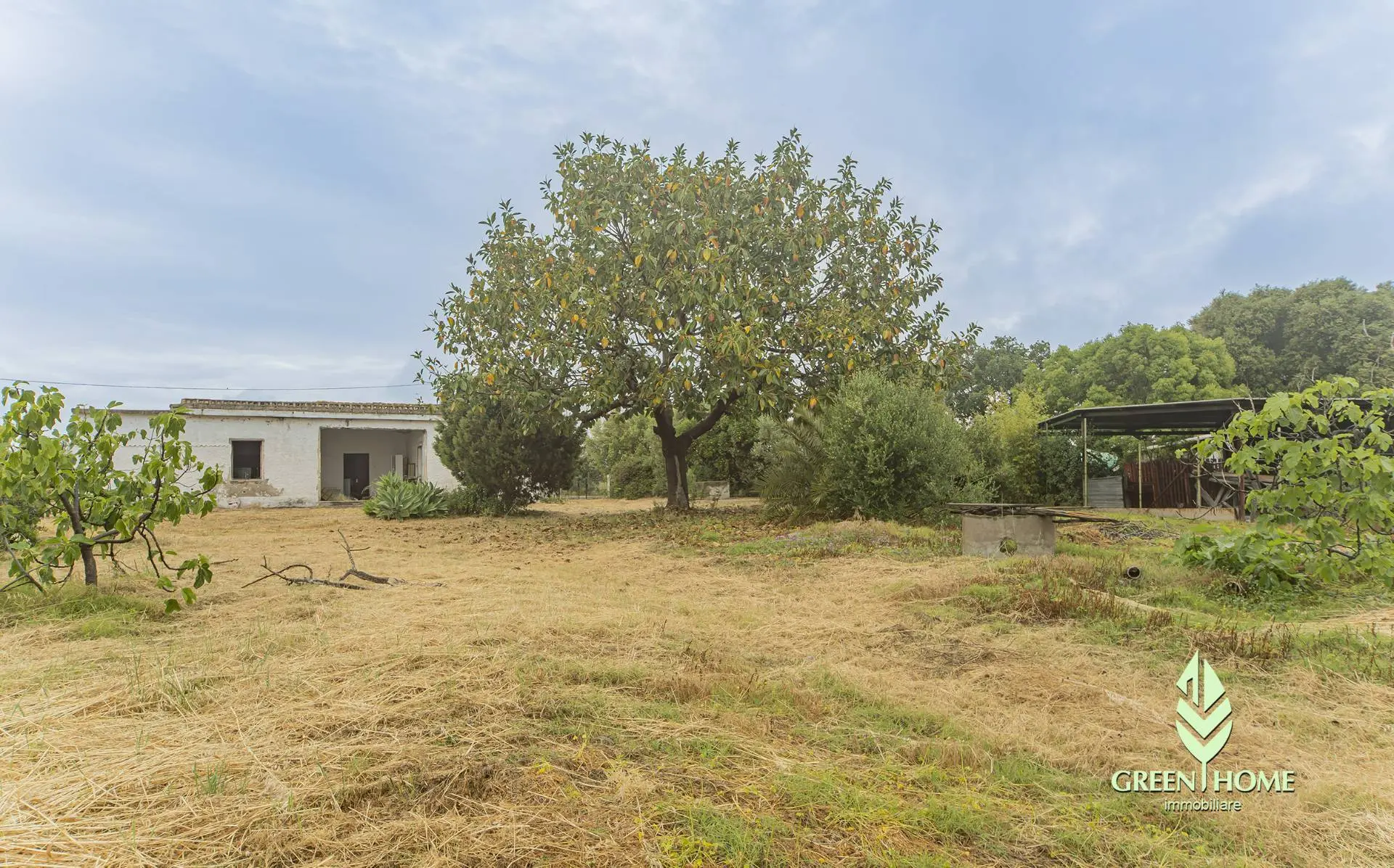 Immagine per Casa indipendente in vendita a Villa San Pietro Via San Macario 