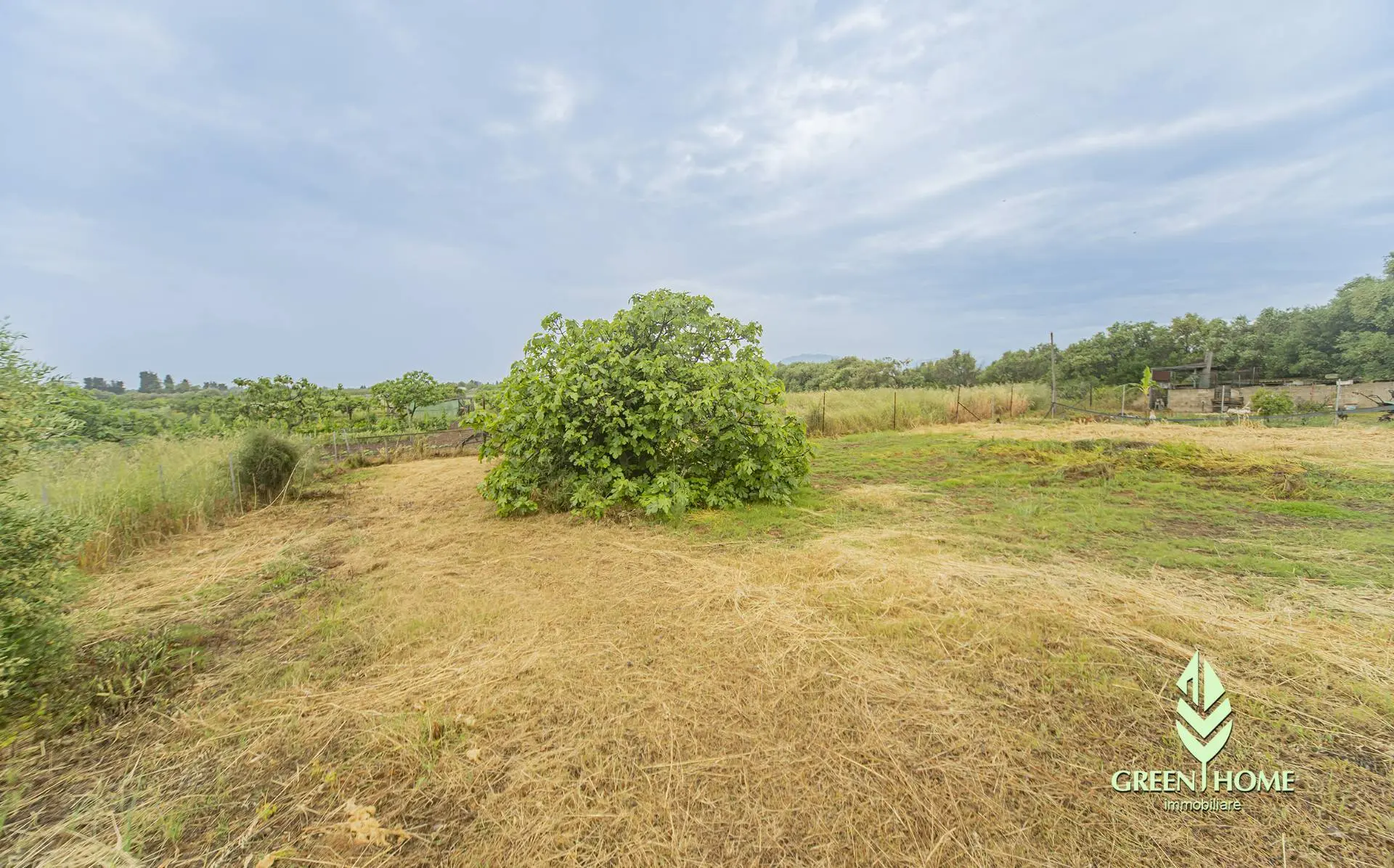 Immagine per Casa indipendente in vendita a Villa San Pietro Via San Macario 
