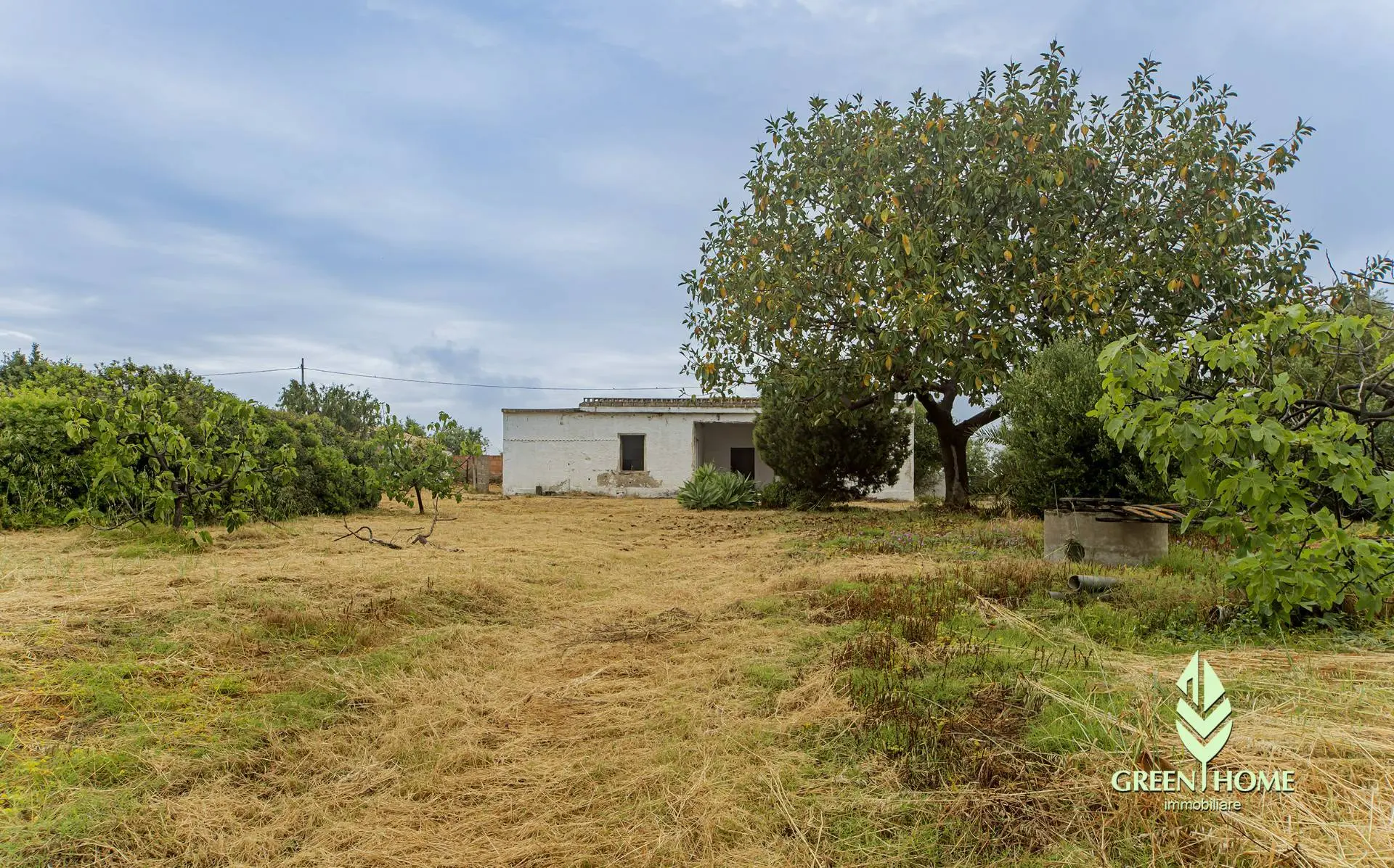 Immagine per Casa indipendente in vendita a Villa San Pietro Via San Macario 