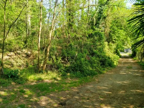 Immagine per Terreno Edificabile in vendita a Vergiate delle ville 