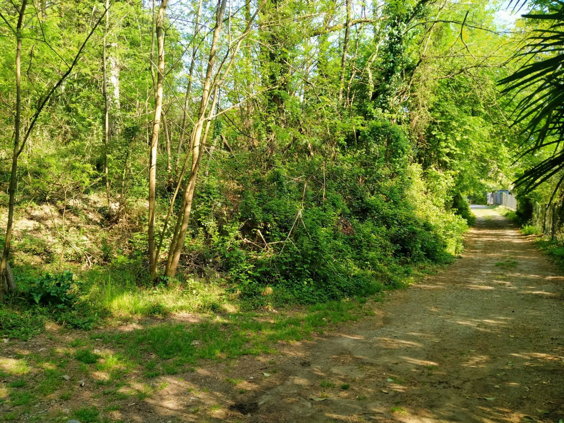 Immagine per Terreno Edificabile in vendita a Vergiate delle ville 