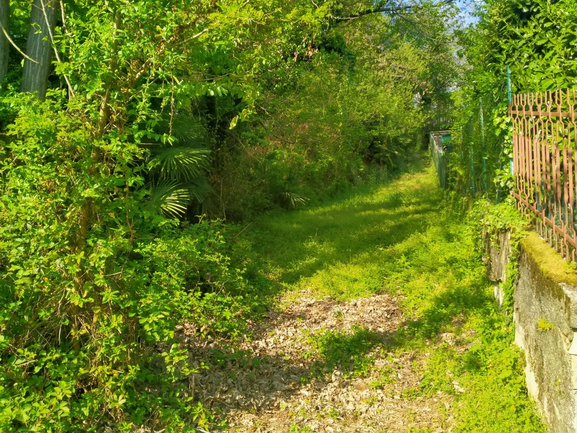 Immagine per Terreno Edificabile in vendita a Vergiate delle ville 