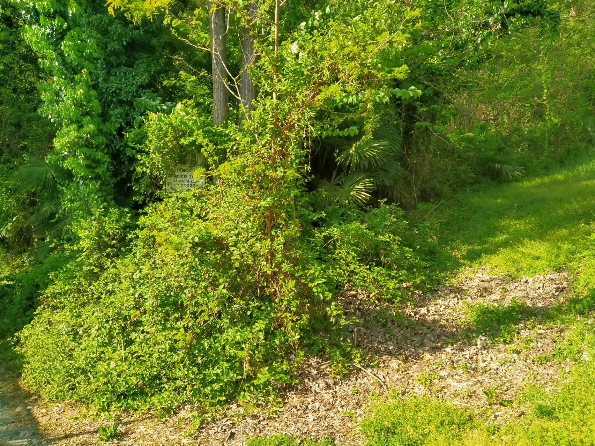 Immagine per Terreno Edificabile in vendita a Vergiate delle ville 