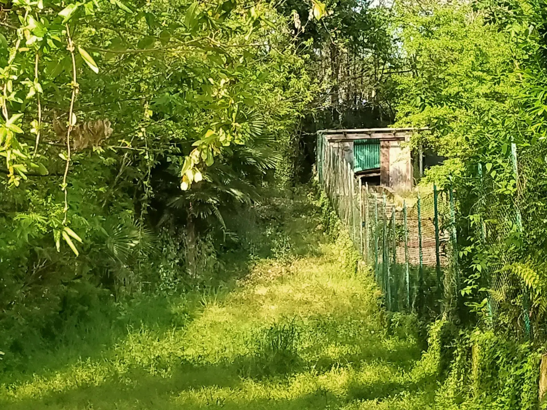 Immagine per Terreno Edificabile in vendita a Vergiate delle ville 