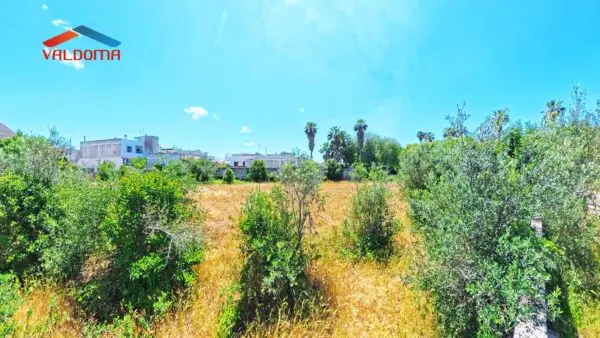 Terreno Edificabile via Monti 15, Miggiano