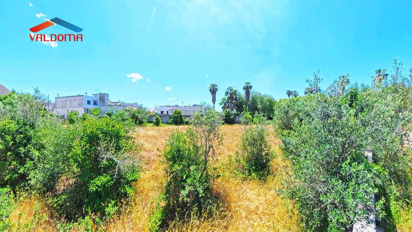 Immagine per Terreno Edificabile in vendita a Miggiano Via Monti 15