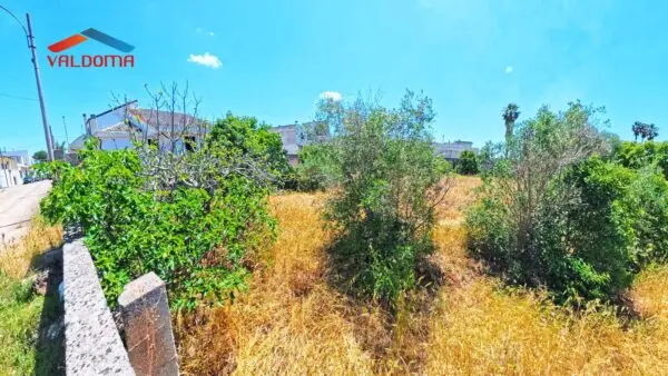 Terreno Edificabile via Monti 15, Miggiano
