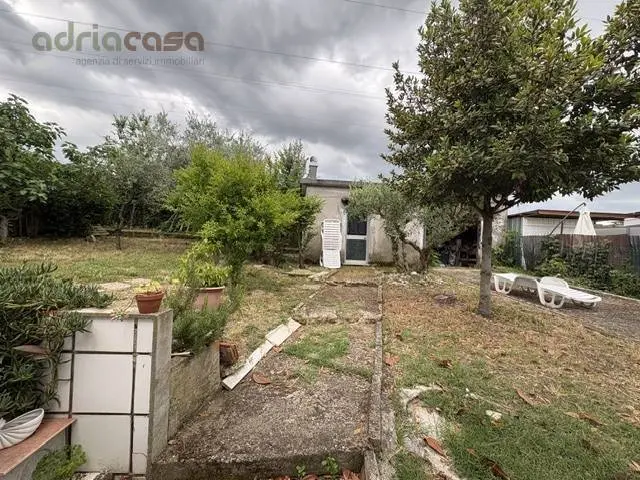 Immagine per Villa in vendita a Riccione Viale Malta 