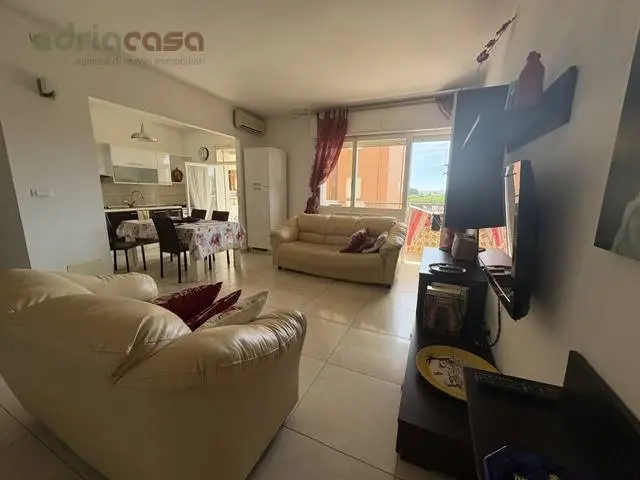 Immagine per Appartamento in affitto a Riccione Viale Amendola 