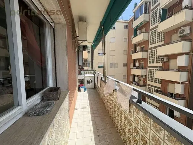 Immagine per Appartamento in affitto a Riccione Viale Amendola 