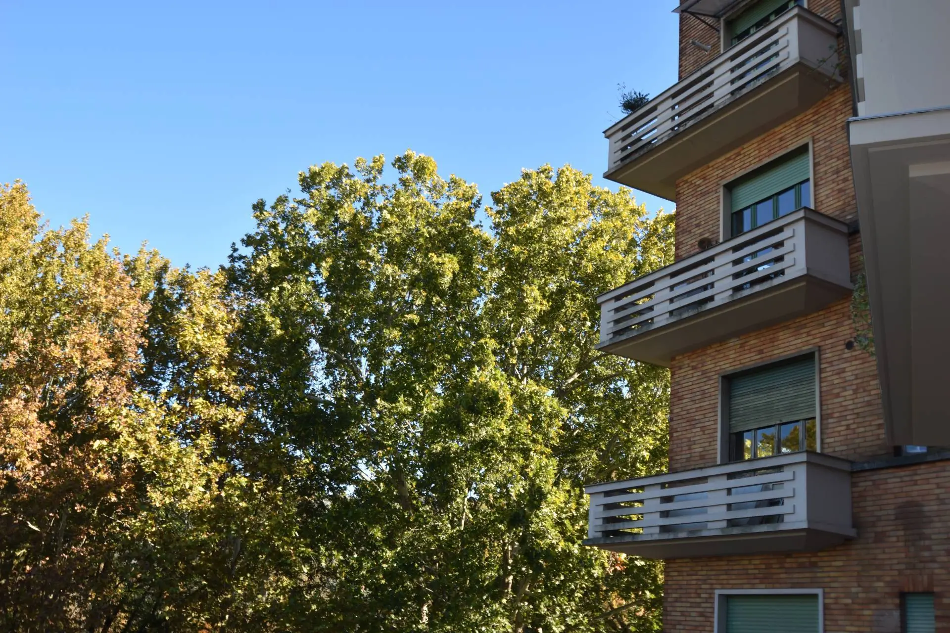 Immagine per Appartamento in vendita a Torino CORSO DANTE 131