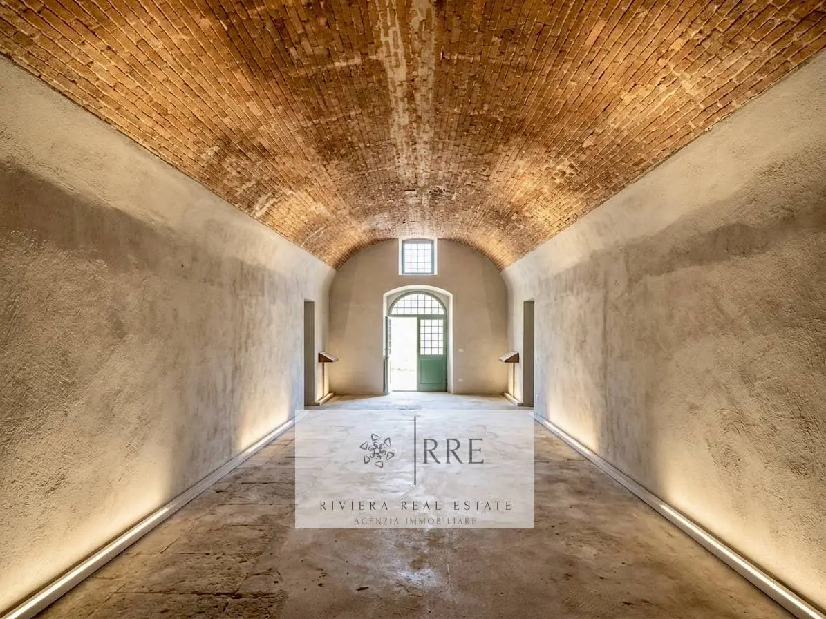 Immagine per Rustico/Casale in vendita a Tovo San Giacomo Mainero 