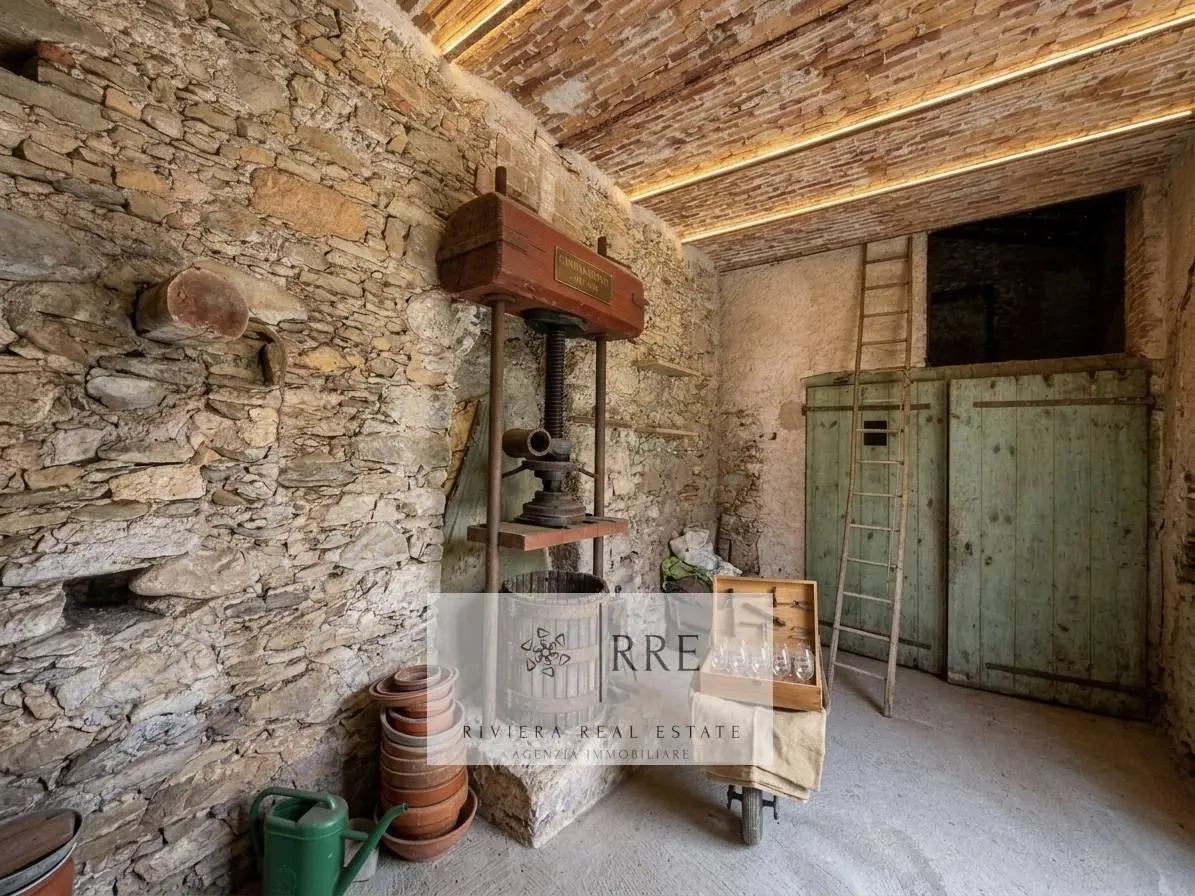 Immagine per Rustico/Casale in vendita a Tovo San Giacomo Mainero 