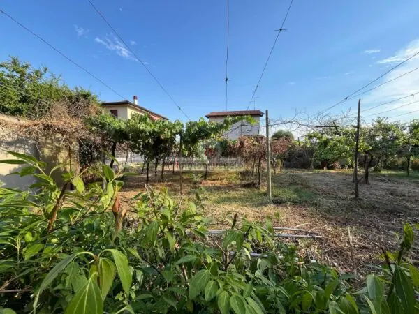 Casa Indipendente via Lobbia Vicentina, Lonigo