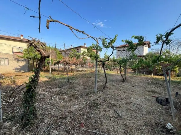Casa Indipendente via Lobbia Vicentina, Lonigo