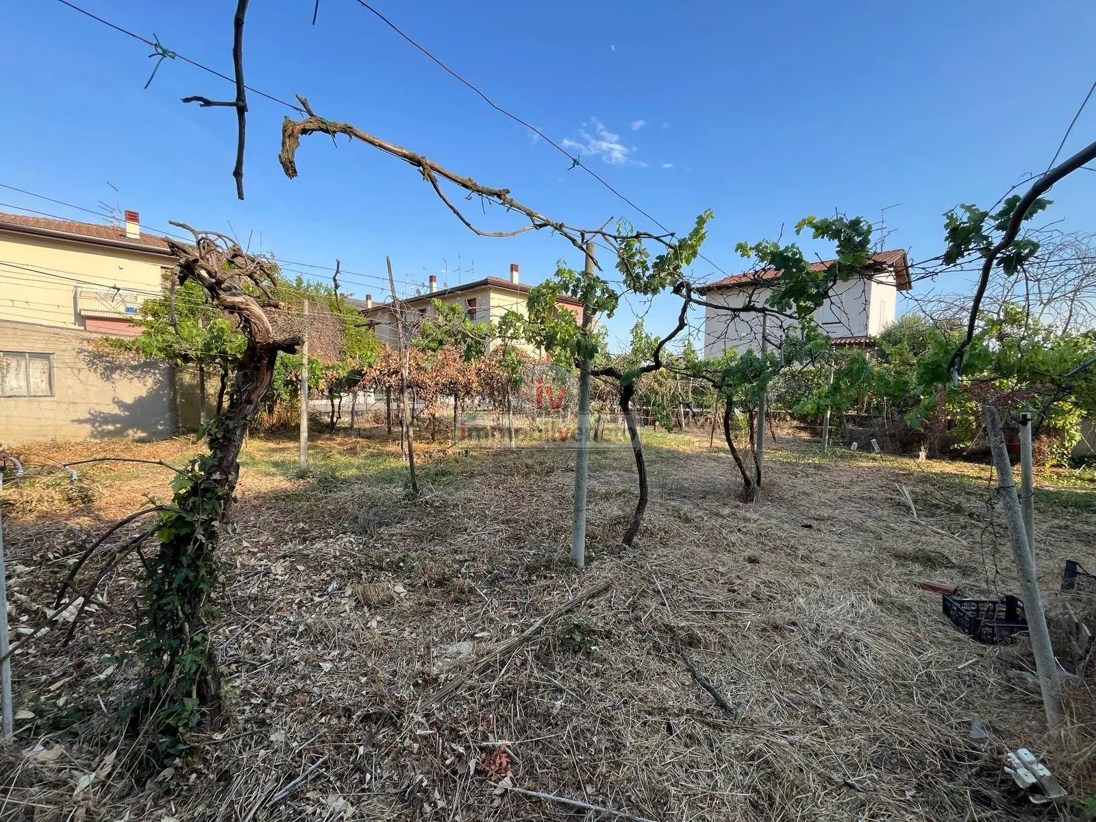 Immagine per Casa indipendente in vendita a Lonigo VIA LOBBIA VICENTINA 
