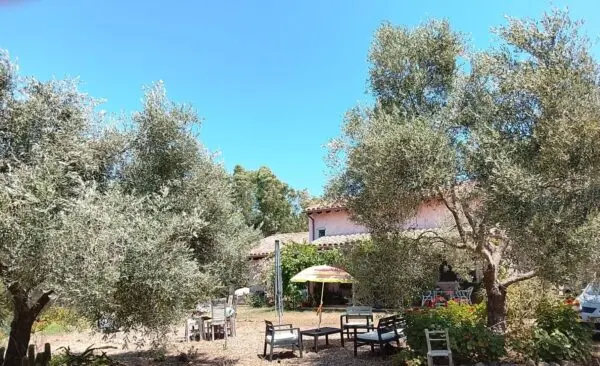 Rustico/Casale strada Statale 125, Villasalto