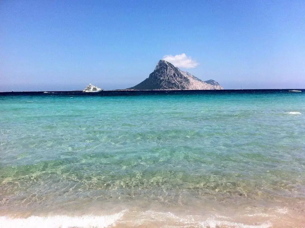 Immagine per Villetta a schiera in affitto a Padru Loc. Lu Nibareddu 