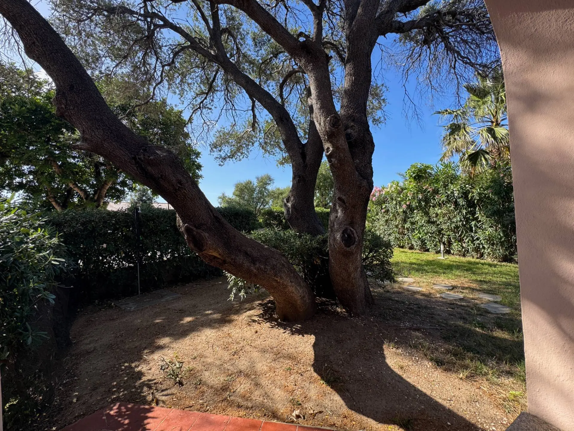 Immagine per Appartamento in vendita a San Teodoro via GRAMSCI 144
