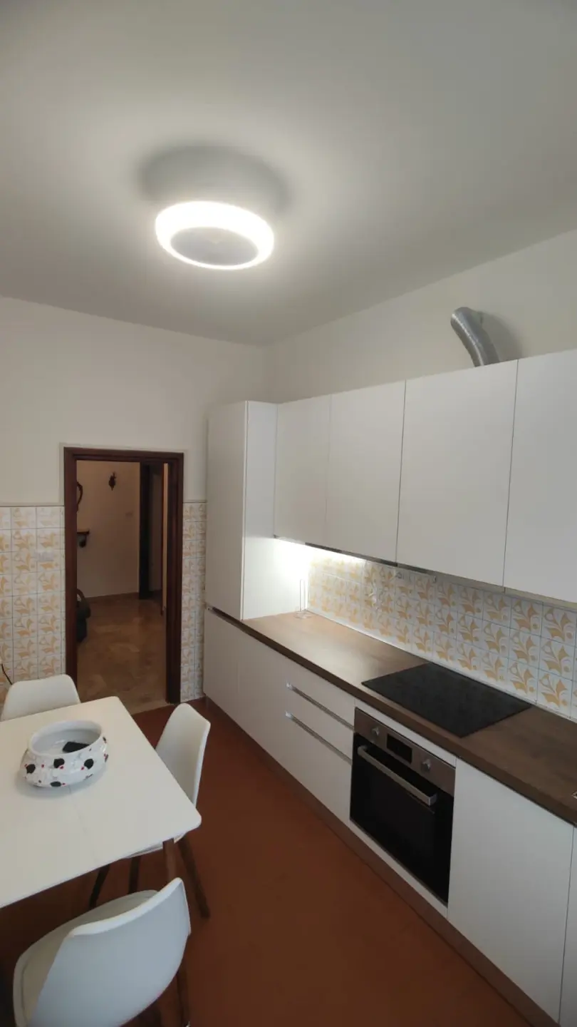 Immagine per Appartamento in affitto a Bologna via Misa 32