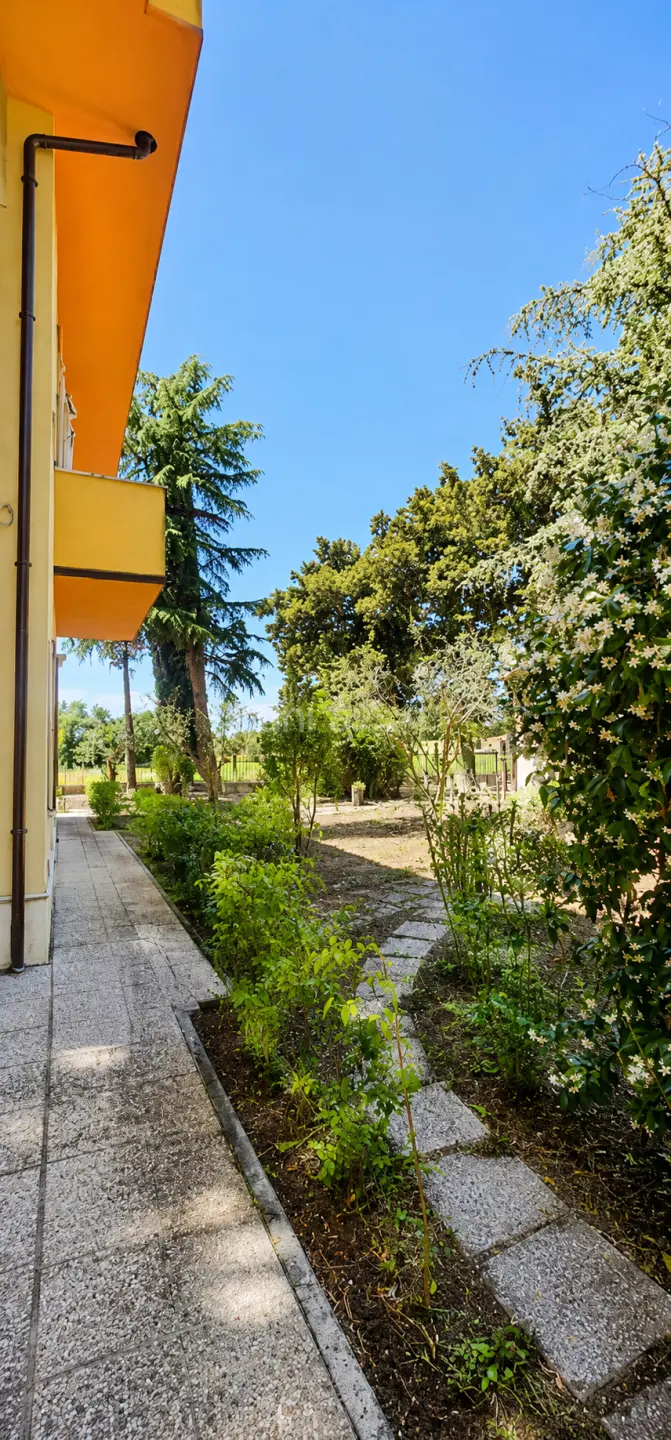 Immagine per Villa trifamiliare in vendita a Monsano snc