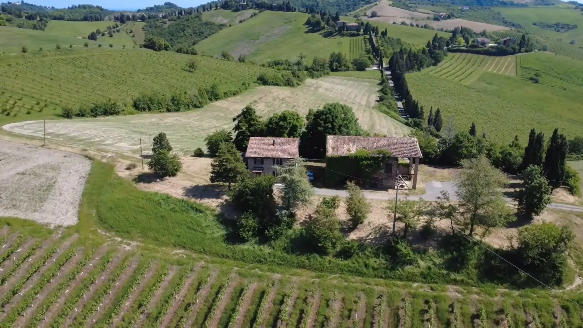 Immagine per Casale in vendita a Valsamoggia via Rio Monteorsello 548