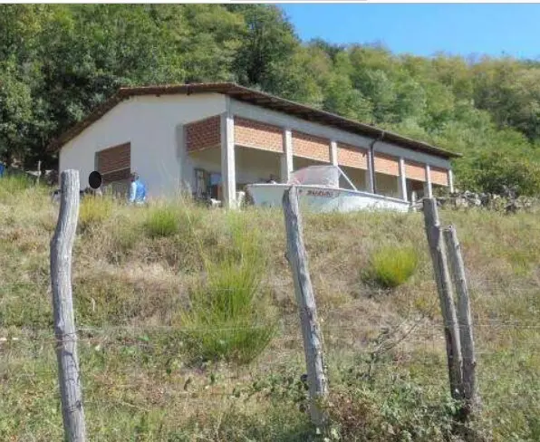 Capannone via Madonna Delle Vigne Snc, Genova