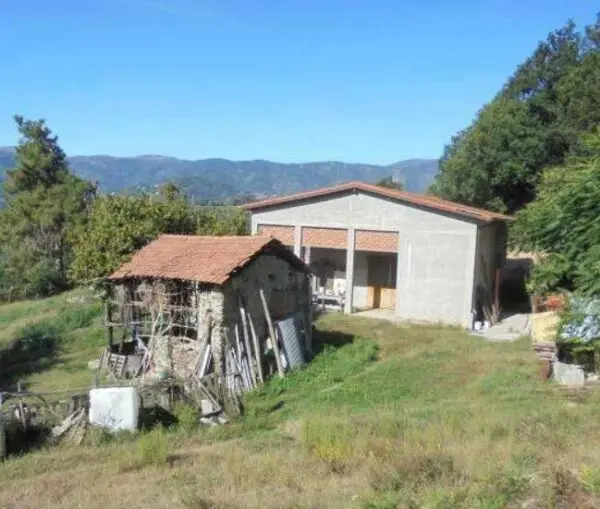 Capannone via Madonna Delle Vigne Snc, Genova