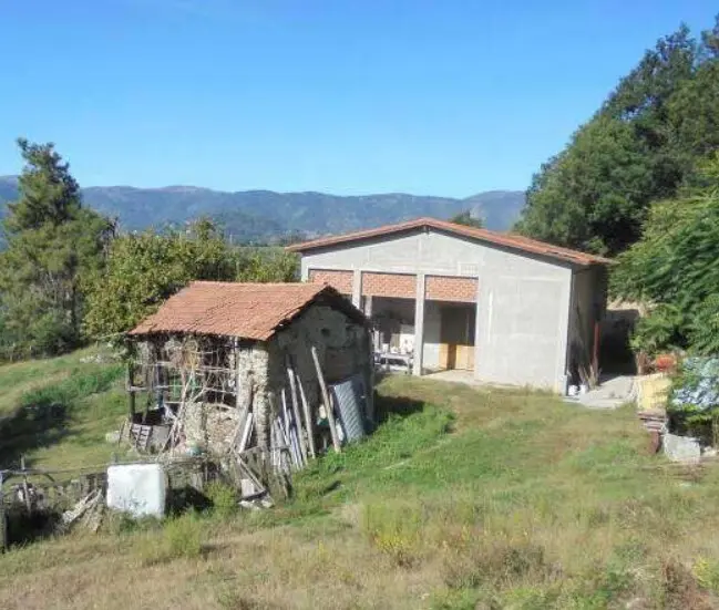 Immagine per Capannone in asta a Genova via Madonna Delle Vigne snc