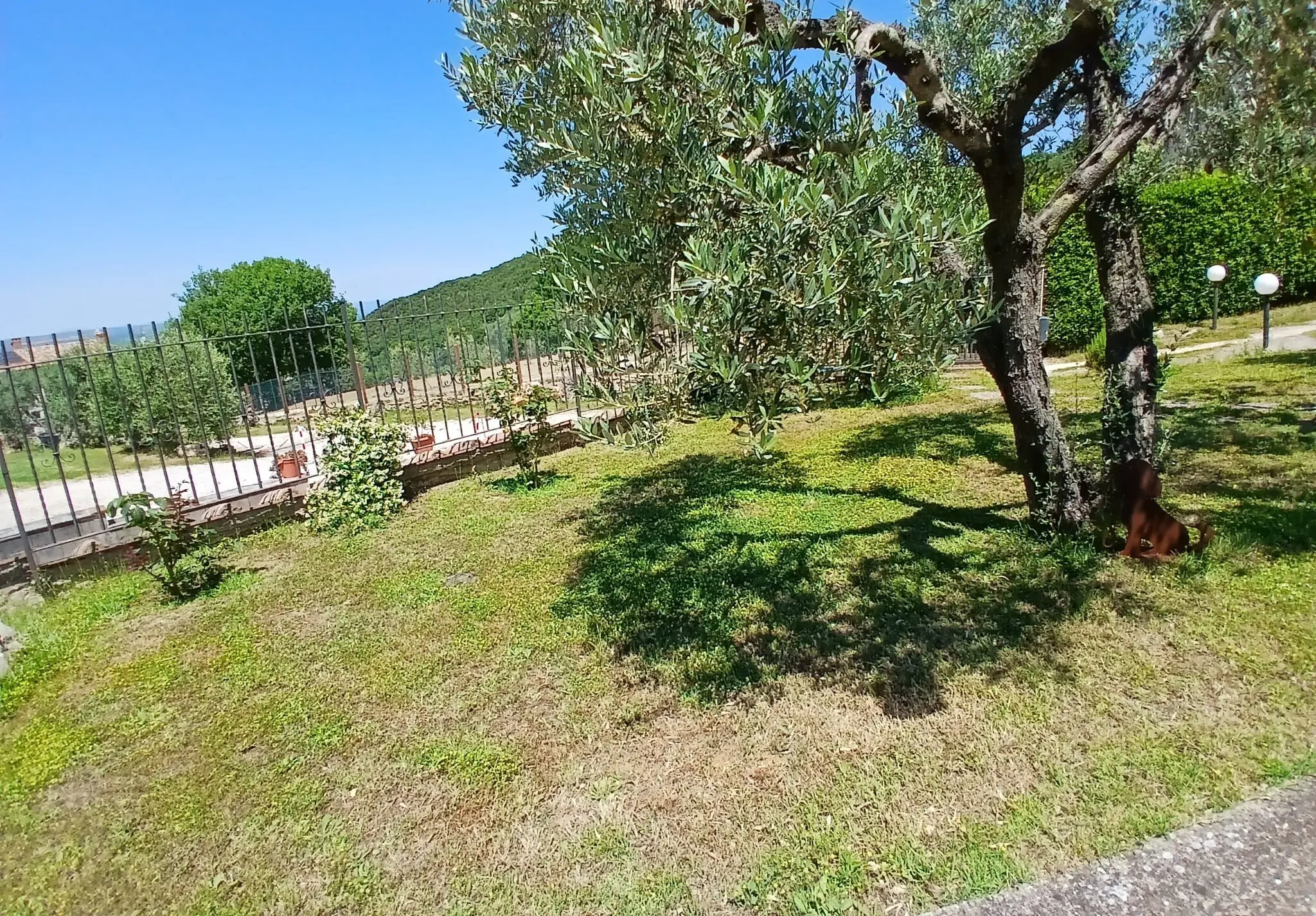 Immagine per Porzione di casa in vendita a Guardea via Poggio Vecchio 18 a
