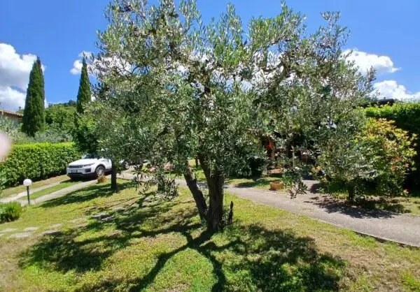 Porzione Di Casa via Poggio Vecchio 18 a, Guardea