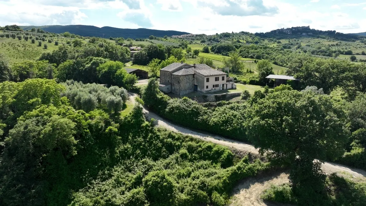 Immagine per Azienda agricola in vendita a Allerona via Vocabolo Acquaviva 102