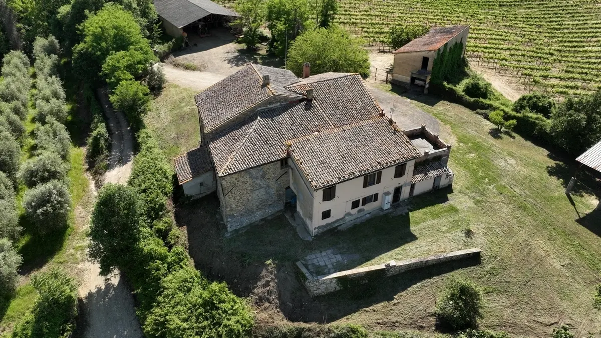 Immagine per Azienda agricola in vendita a Allerona via Vocabolo Acquaviva 102