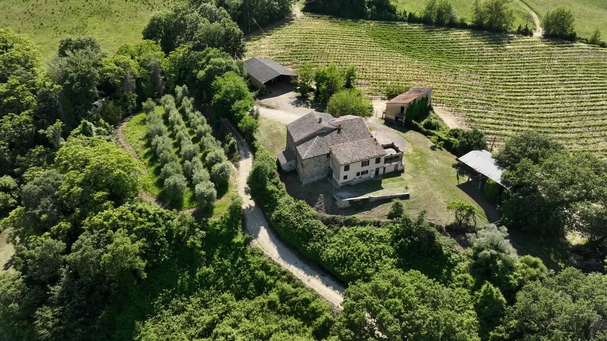 Immagine per Azienda agricola in vendita a Allerona via Vocabolo Acquaviva 102