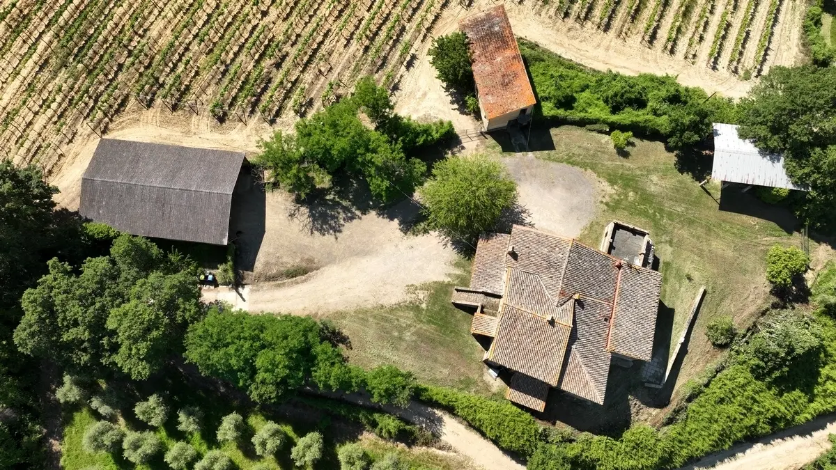 Immagine per Azienda agricola in vendita a Allerona via Vocabolo Acquaviva 102