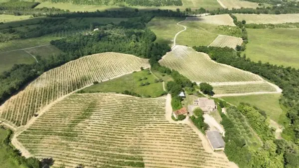 Azienda Agricola via Vocabolo Acquaviva 102, Allerona