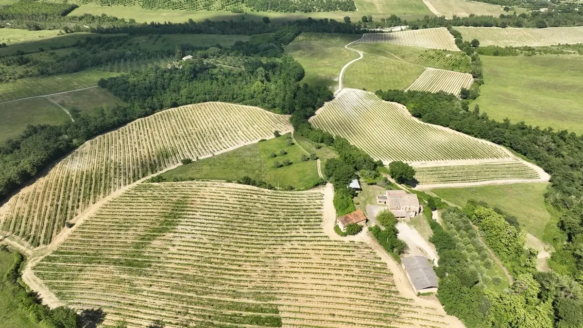 Immagine per Azienda agricola in vendita a Allerona via Vocabolo Acquaviva 102