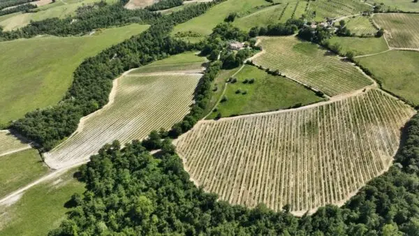 Azienda Agricola via Vocabolo Acquaviva 102, Allerona