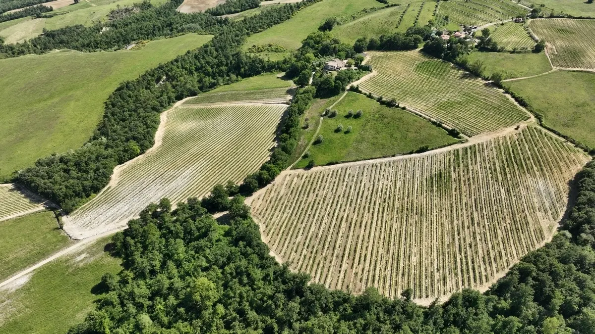 Immagine per Azienda agricola in vendita a Allerona via Vocabolo Acquaviva 102