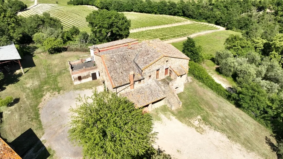 Immagine per Azienda agricola in vendita a Allerona via Vocabolo Acquaviva 102