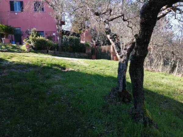 Villa A Schiera via Vocabolo San Savino 33, Avigliano Umbro